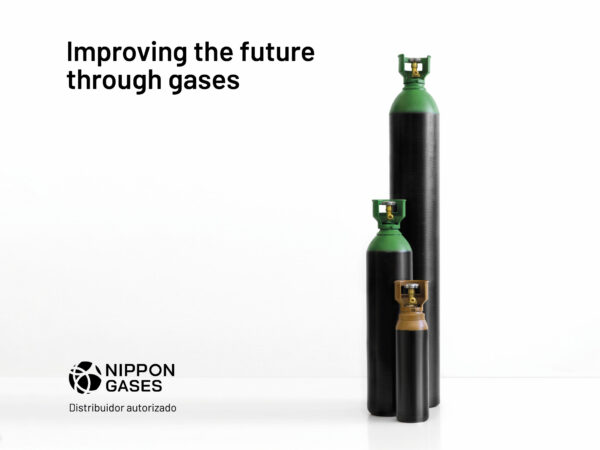 Nippon Gases